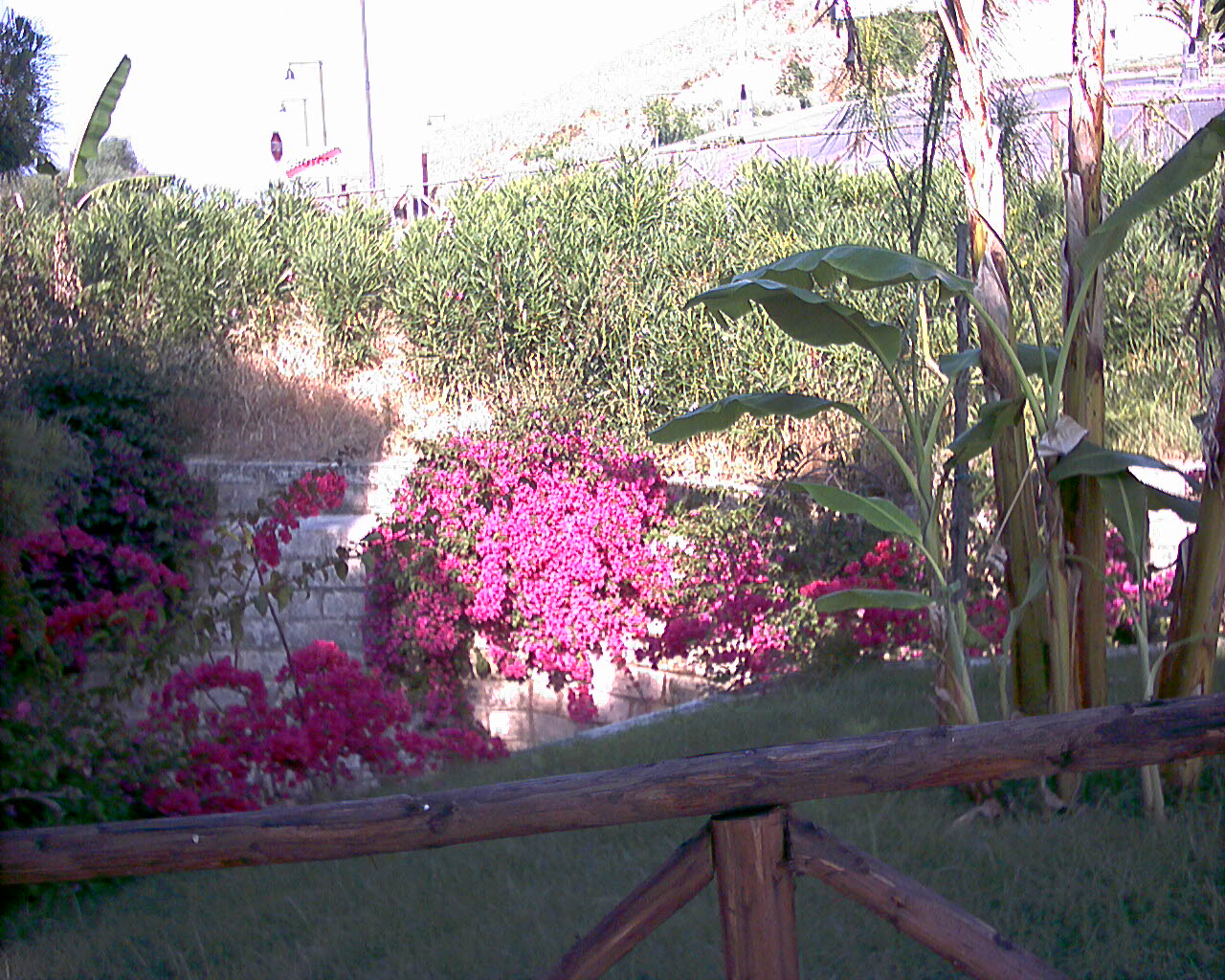 Expottimisti_Pics