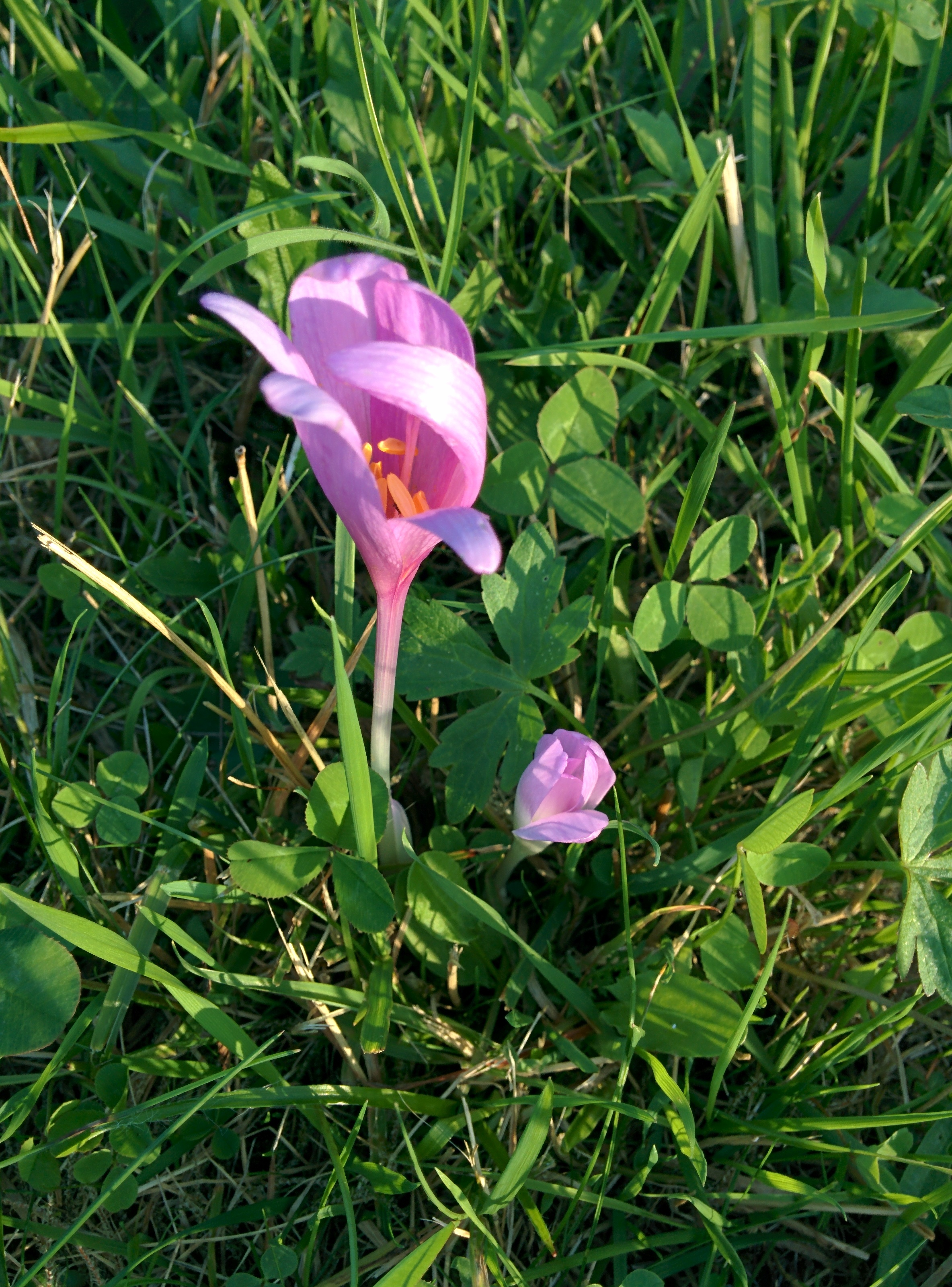 Expottimisti_Pics