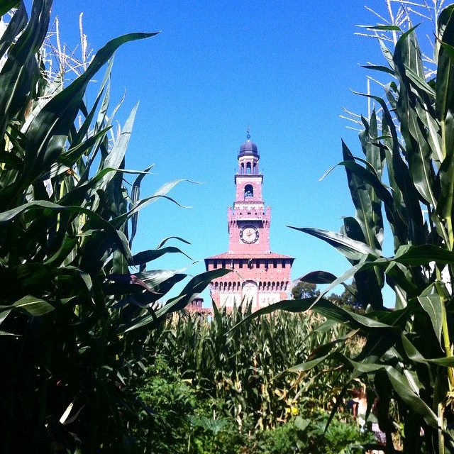 Expottimisti_Pics